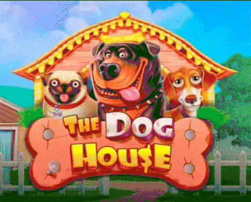 play the dog house in pistolo casino